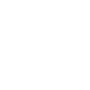 pgvip